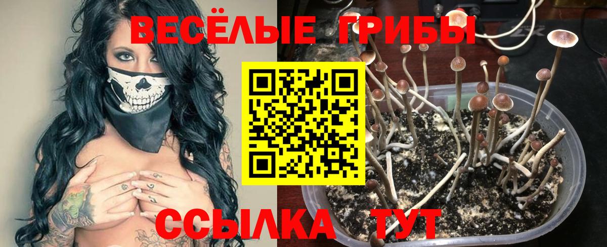 Псилоцибиновые грибы Советск